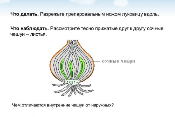 Как зайти на кракен в торе